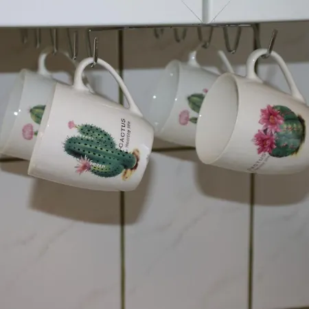 Cactus - Unique And Cozy House