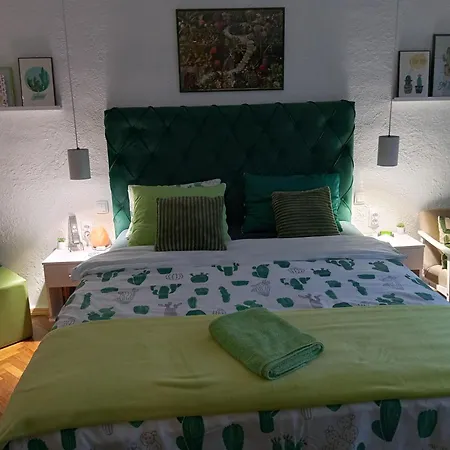 Apartment Cactus - Unique And Cozy House Senta